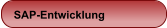 SAP-Entwicklung