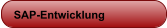 SAP-Entwicklung