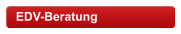 EDV-Beratung